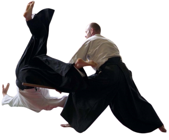 aikido kai throw