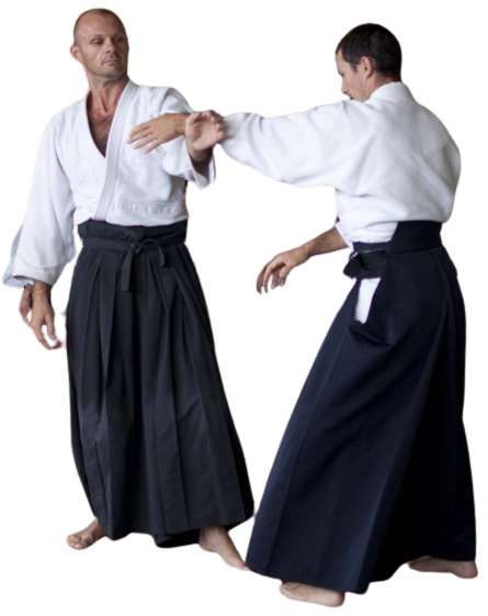 martial arts trainer